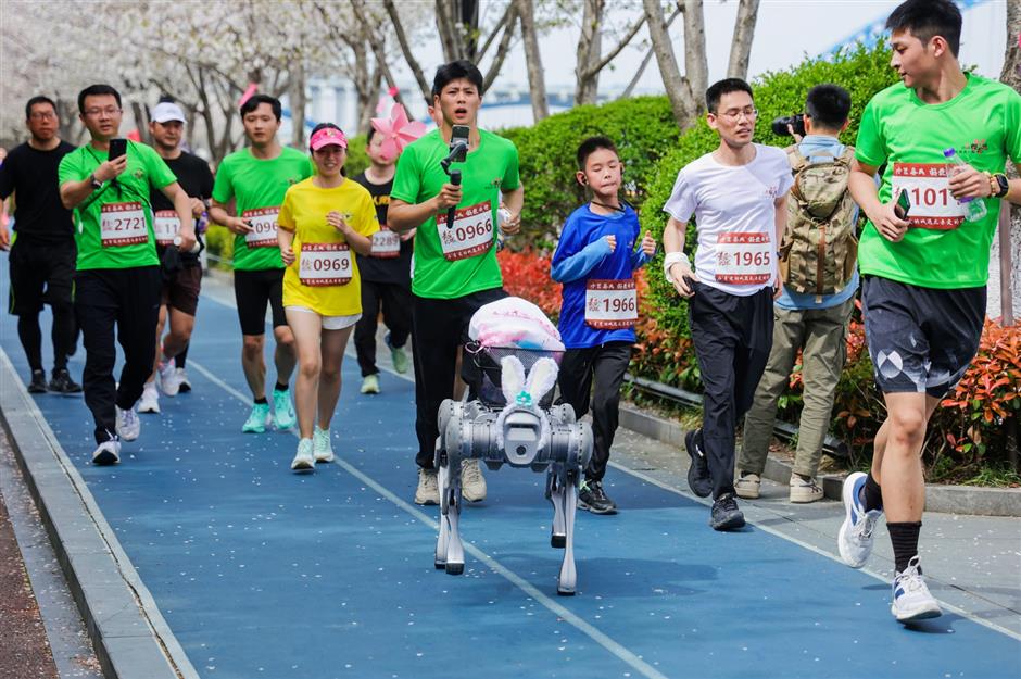 thousands join cherry blossom running in binjiang district