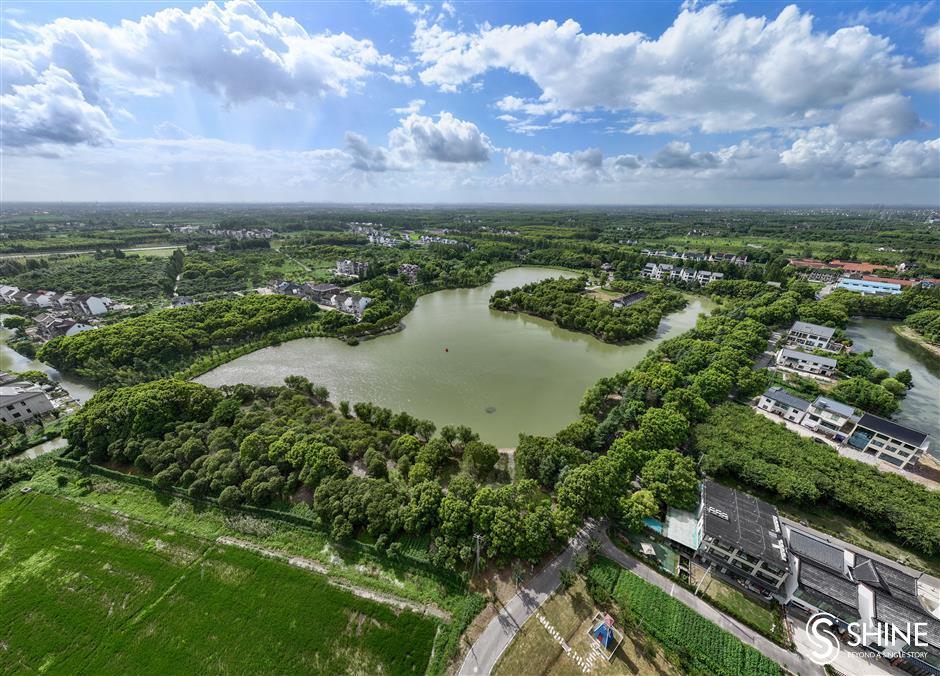 shanghai unveils plan to build 50 woodlands parks by 2025