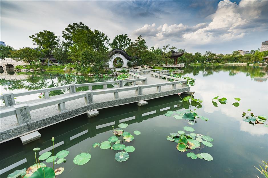 visit guyi garden to enjoy blooming lotuses and water lilies