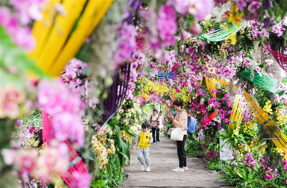 shanghai basks in glow of surging may day holiday tourism