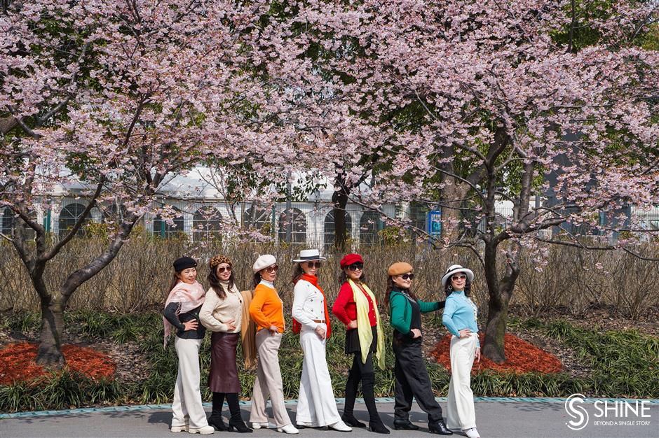 cherry blossom festival to bring spring delight in baoshan