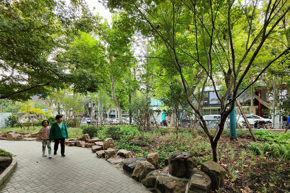 the night owls are out in shanghai parks as city green spaces open 24/7