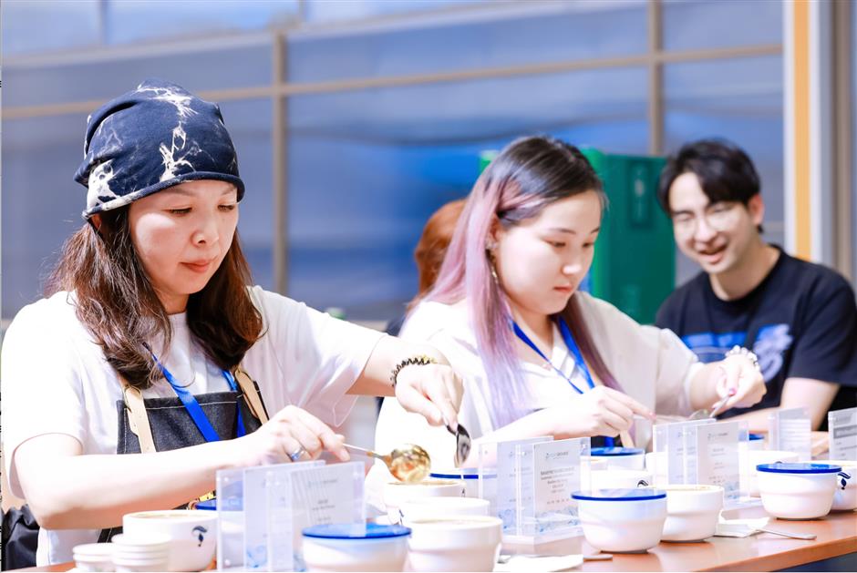 hongqiao coffee festival connects shanghai to the world