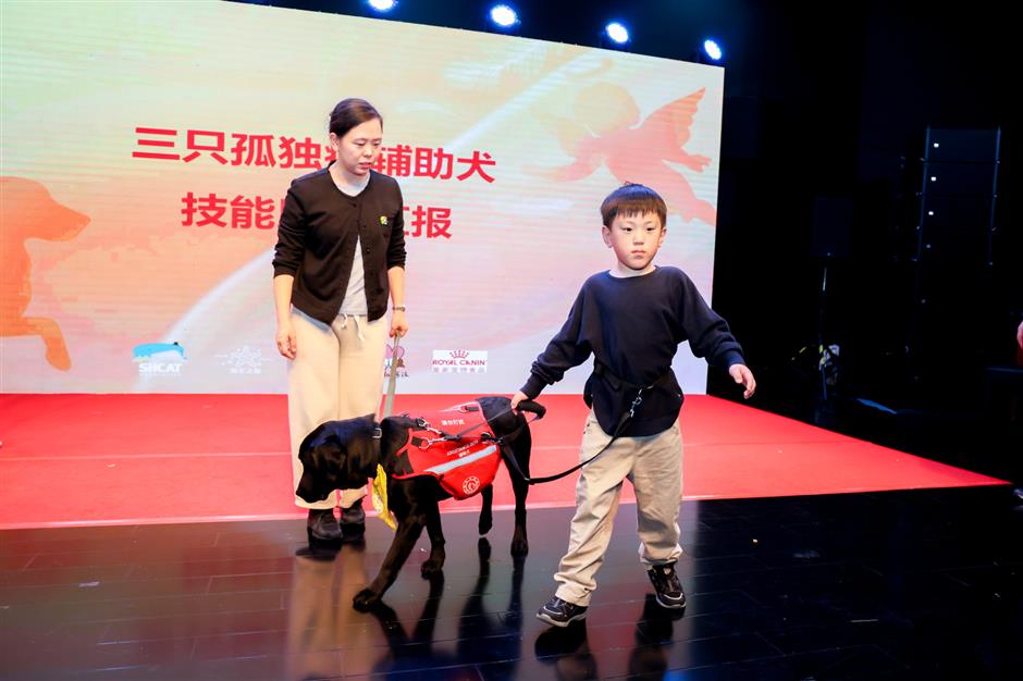 autism assistance dogs matched with families in need