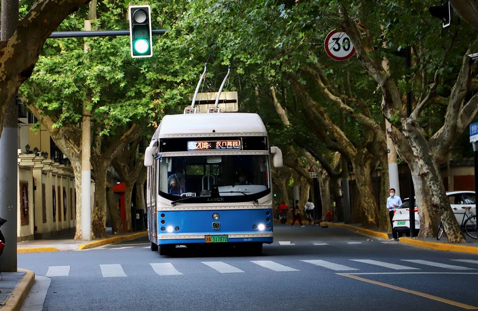 vintage buses offer a retrospective ride back to a century ago