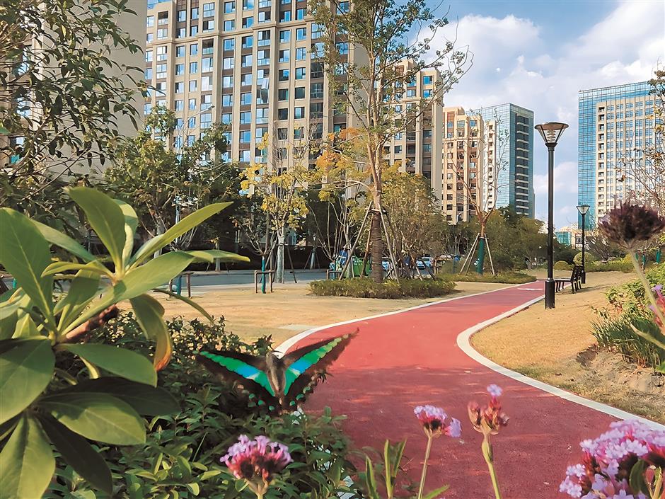 tianma mountain is a haven for unique feathered visitors