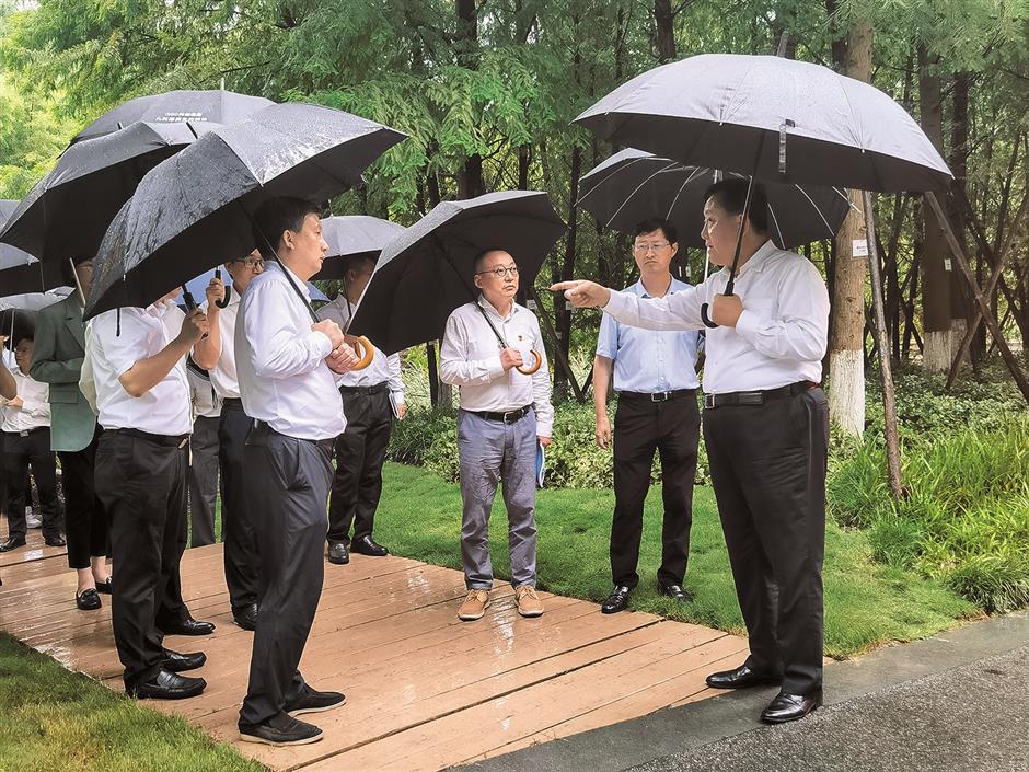 tianma mountain is a haven for unique feathered visitors