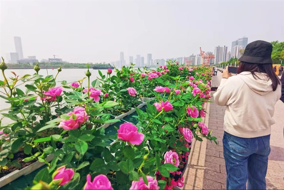 a month of color as spring bursts into bloom