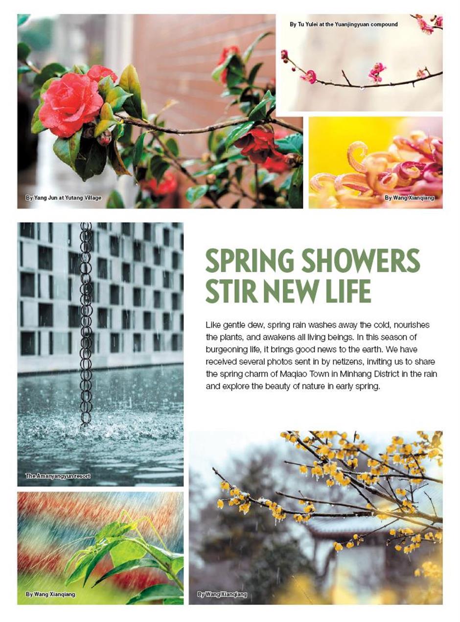 spring showers stir new life in minhang district