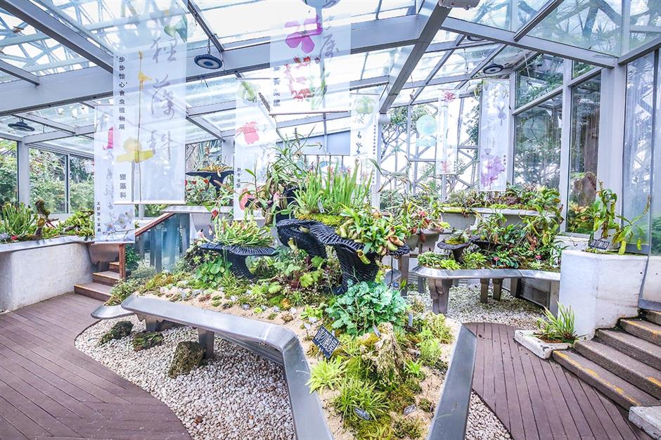 exhibition showcases insectivorous plants