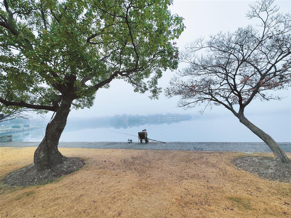 canvas of dreams amid songjiang's urban sprawl