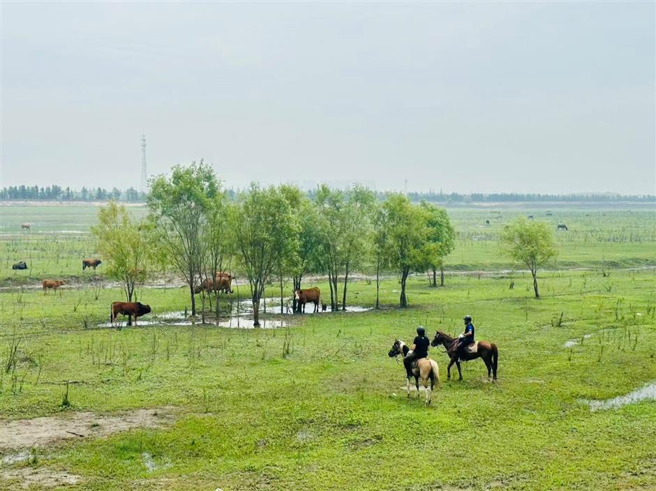 horse sense: austrian helps city slickers become cowgirls and cowboys