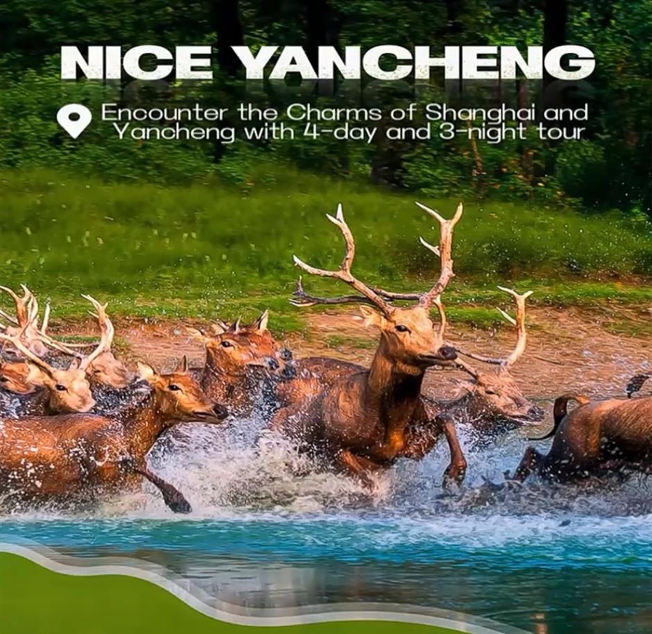 tourism festival offers wild wonders of yancheng