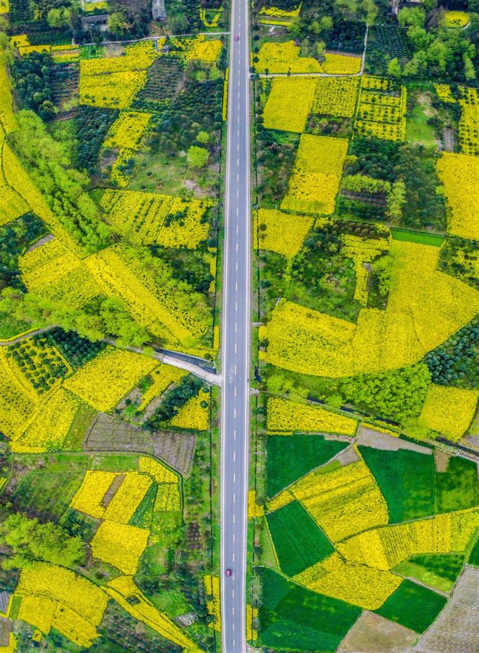 what is the story of chengdu?