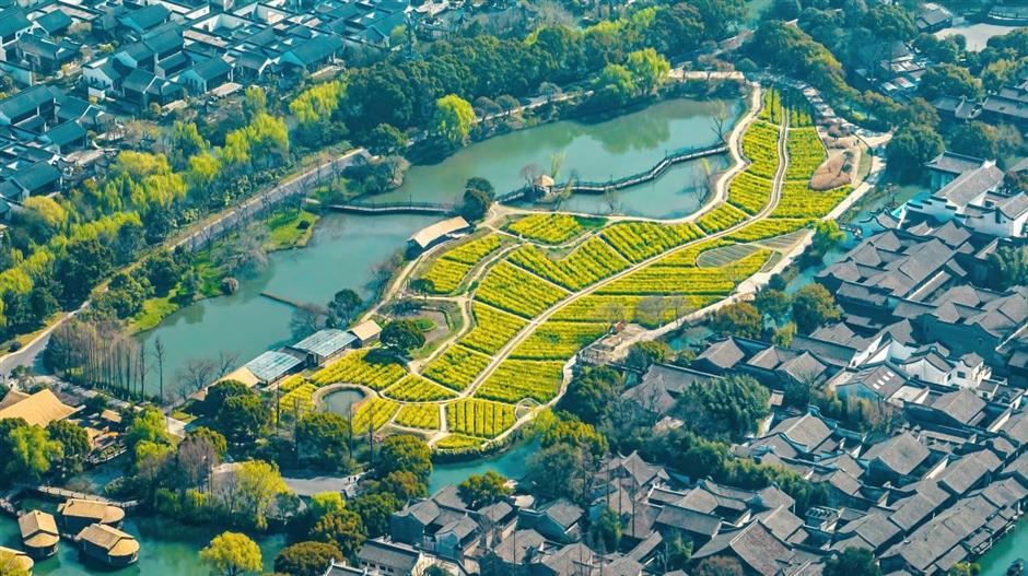 festival in wuzhen gives visitors experience of a better life