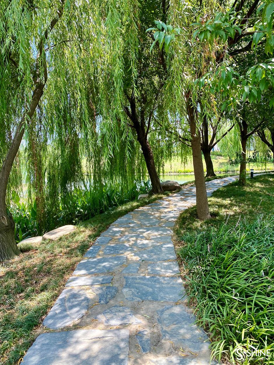 yuandang lake: where shanghai and jiangsu connect