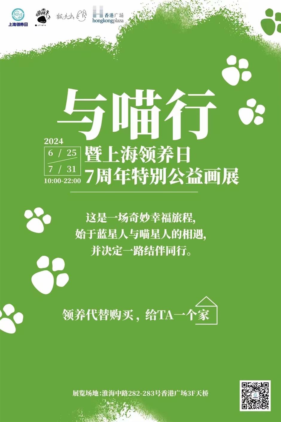 'walk with cats' show to promote adoption of shanghai's strays