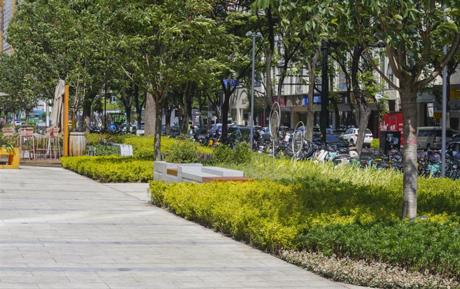 'pocket park belt' offers lush retreat amidst city's hustle and bustle