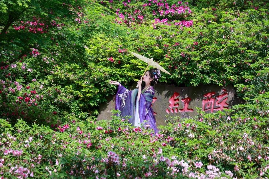 wuxi showcases its art, gardens and delicacies