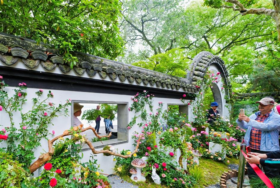 roses exhibition in full bloom in hangzhou