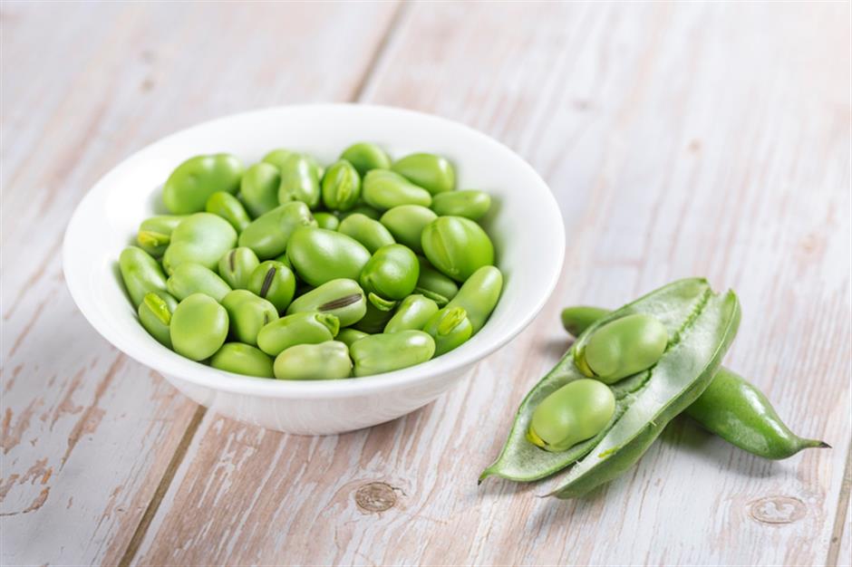 the long and winding tale of broad beans