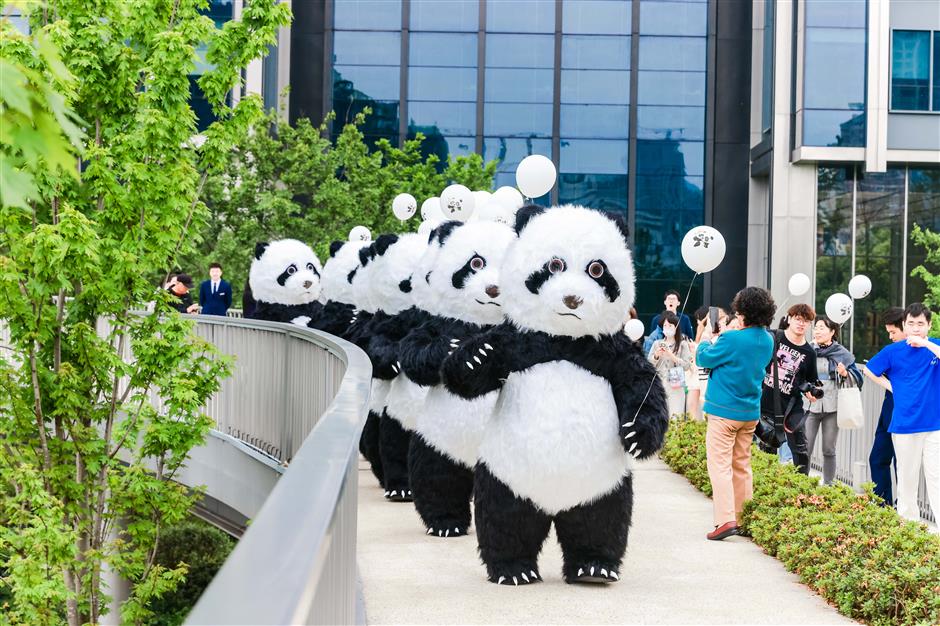 spend your holiday with pandas before their international travels