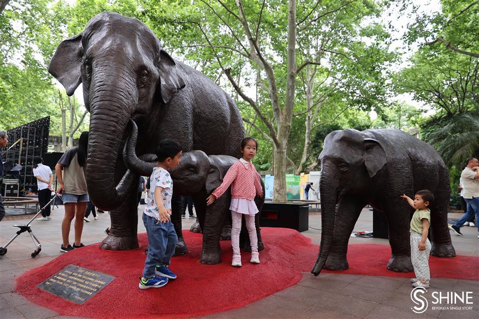 animal kingdom! shanghai zoo marks 70th anniversary