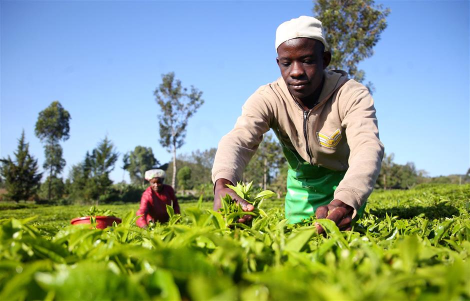 a kenyan student in shanghai: '90 percent of me is chinese'