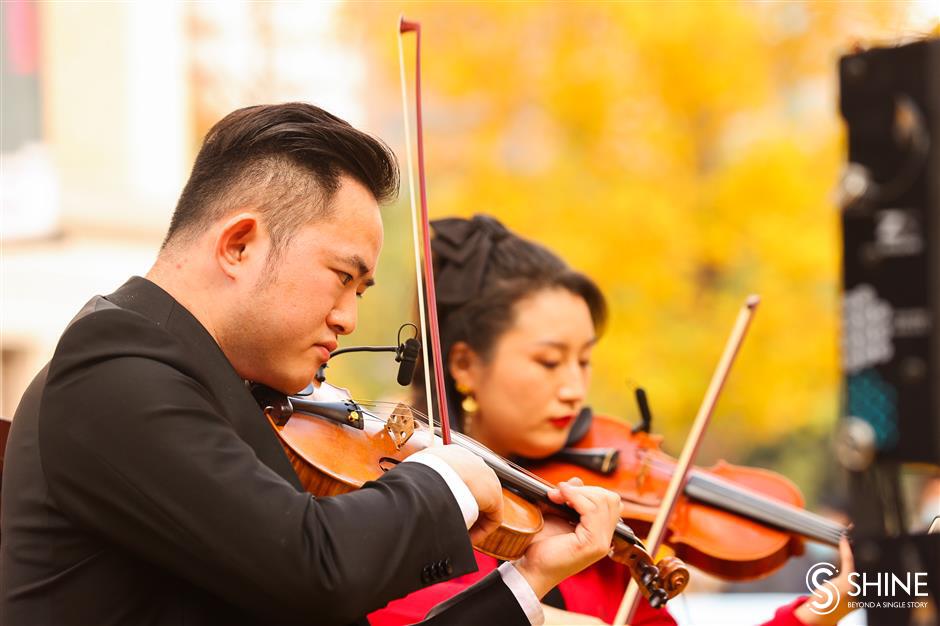 musical feast held under the ginkgo trees