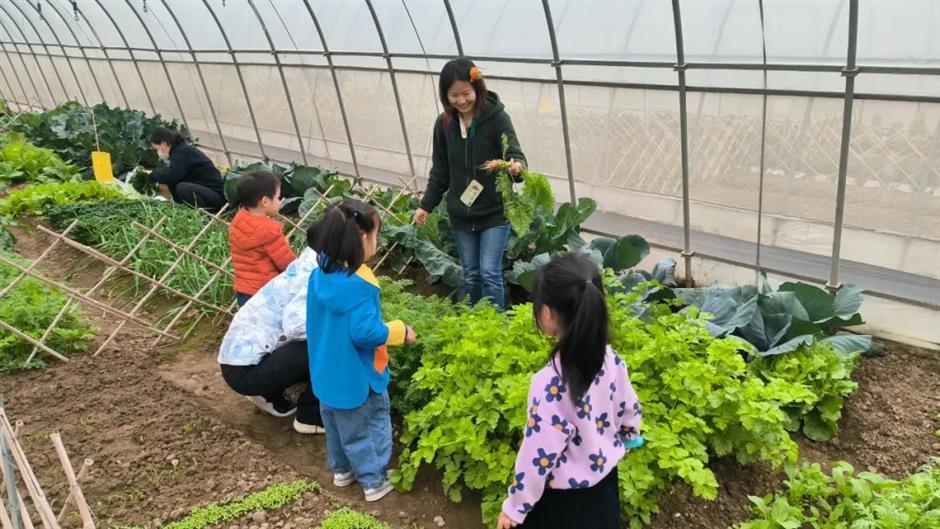 young businesspeople shine in rural revitalization of minhang district