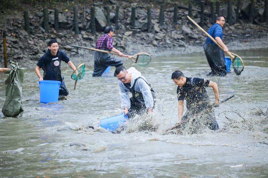 dried bog festival kicks off at xixi wetland park with fishing frenzy