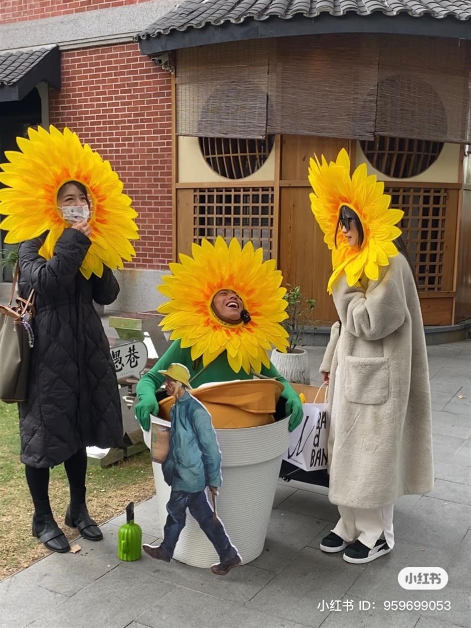 street sunflowers and a blooming debate on boundaries