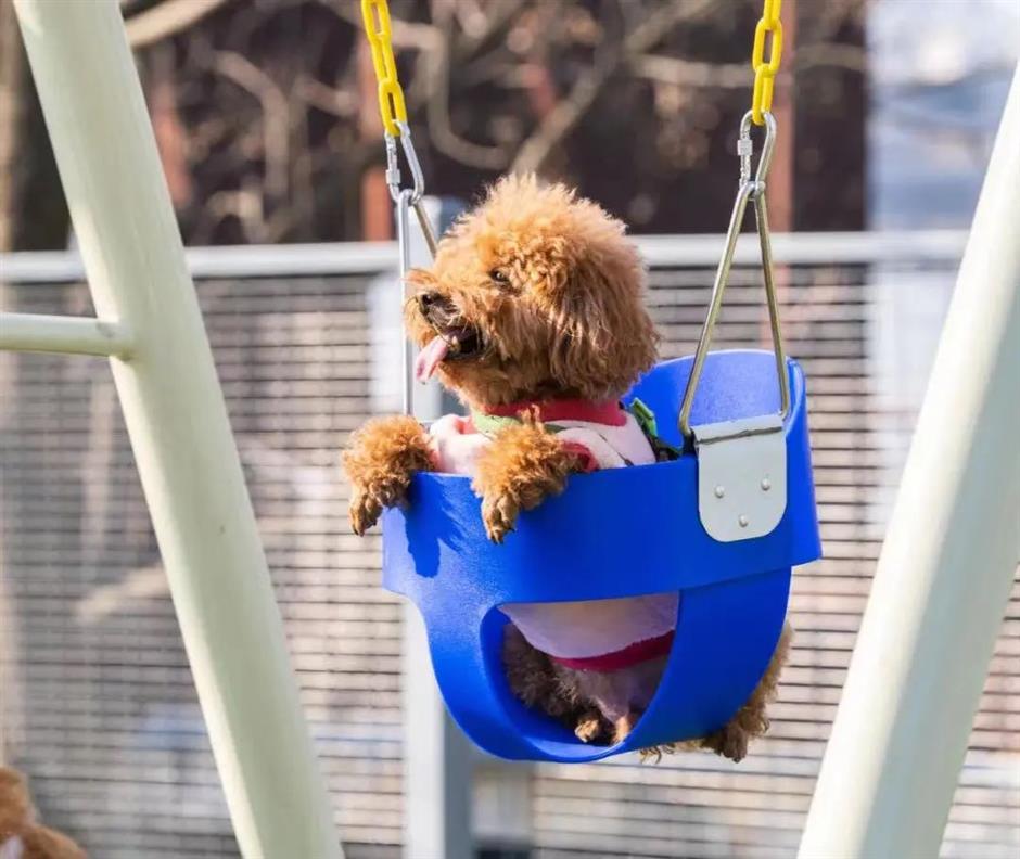 city's parks offer green spaces for outdoor fun with canine companions