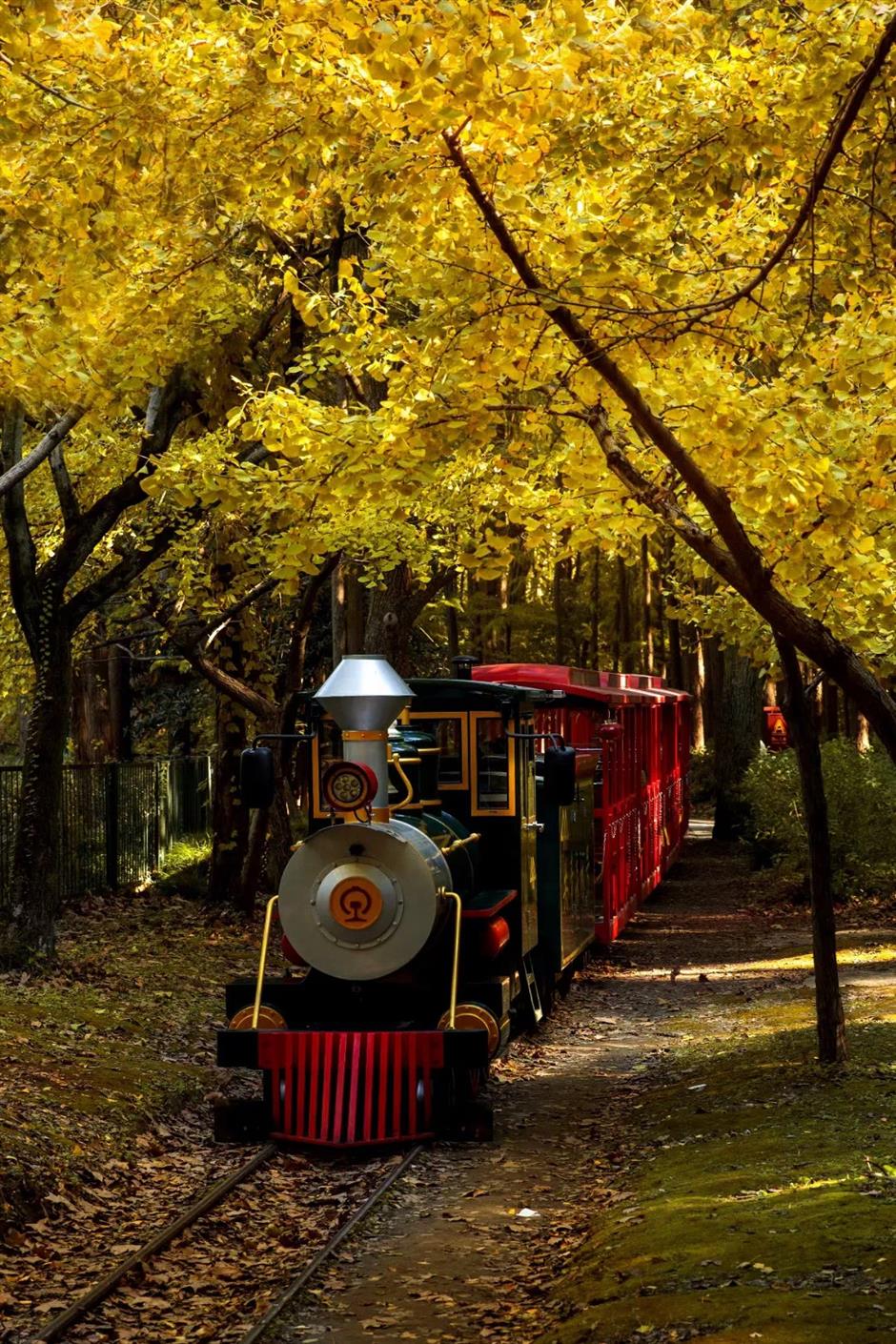 'parkwalk': a guide to the city's colorful autumnal foliage