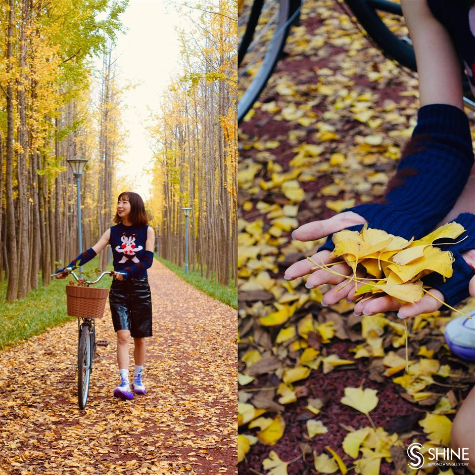 cycle around the best autumn scenery in changning