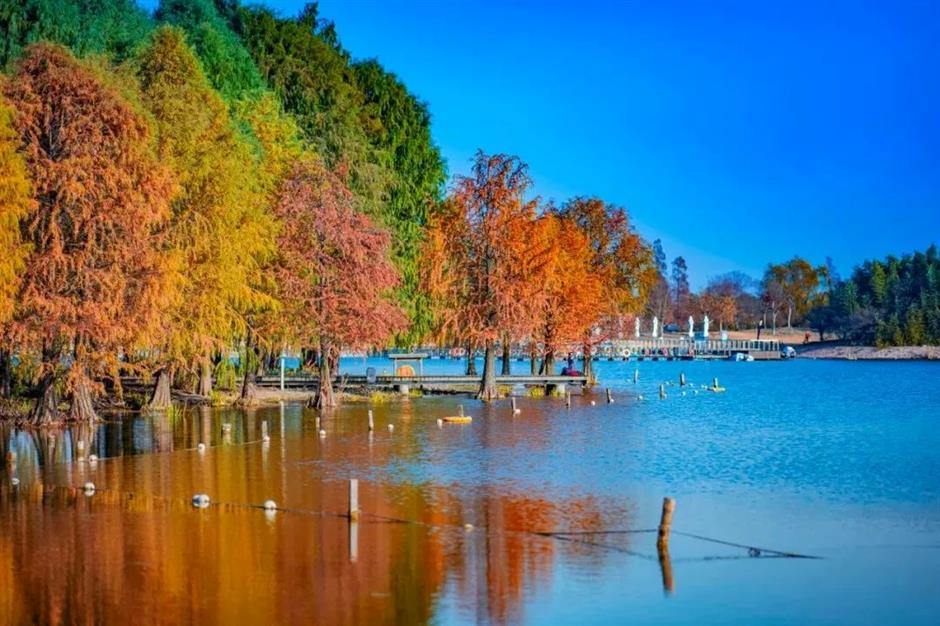 'parkwalk': a guide to the city's colorful autumnal foliage