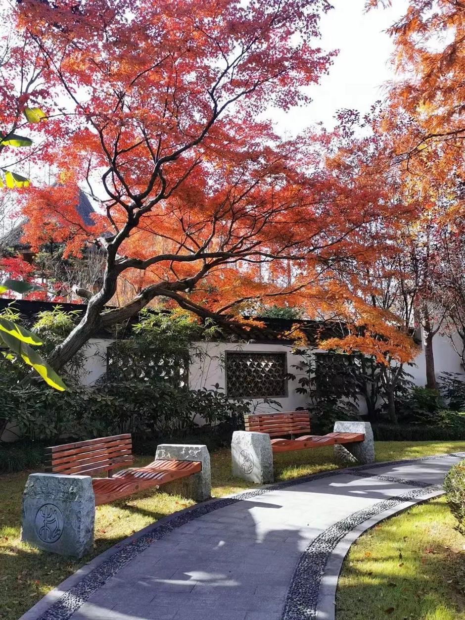 'parkwalk': a guide to the city's colorful autumnal foliage