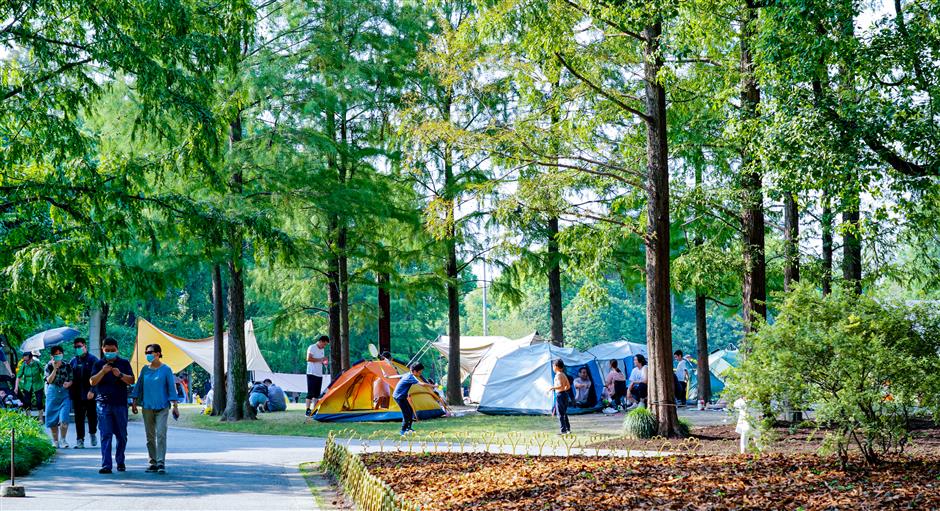 enjoy the glorious autumn in parks across the city